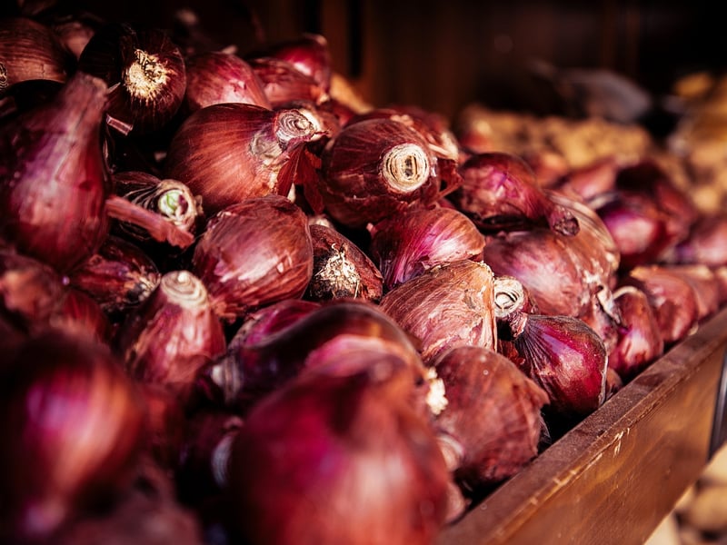 Middle Eastern Delights